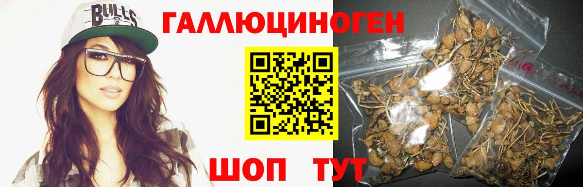 Галлюциногенные грибы мухоморы  где продают наркотики  Магадан  Вход с VPN 